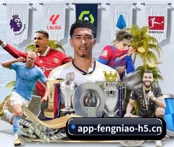 蜂鸟电竞 APP（FNESPORTS）